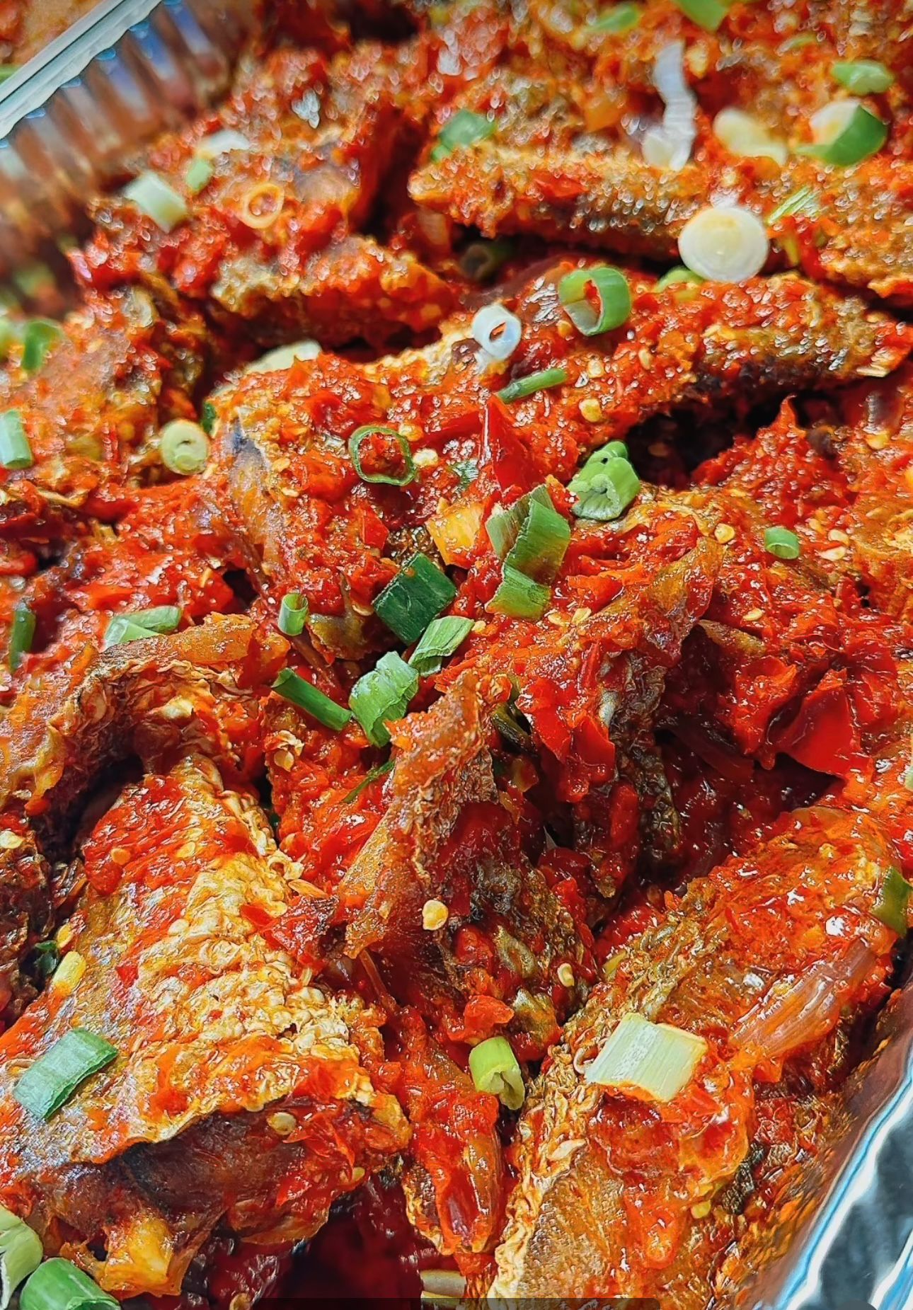 Peppered Croaker Fish